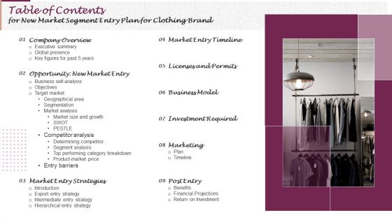 Table Of Contents For New Market Segment Entry Plan For Clothing Brand Pictures PDF