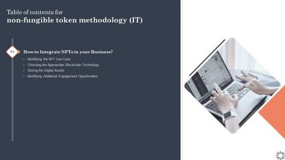 Table Of Contents For Non Fungible Token Methodology IT Background PDF