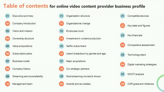 Table Of Contents For Online Video Content Provider Business Profile Professional PDF