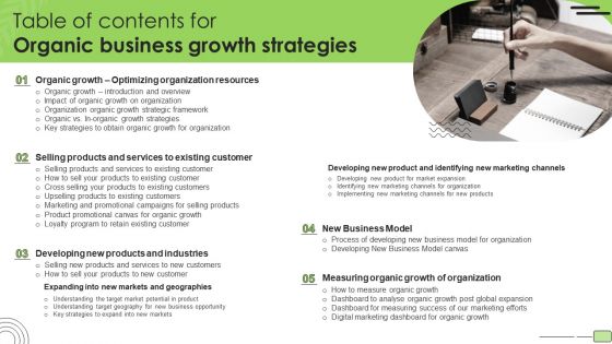 Table Of Contents For Organic Business Growth Strategies Template PDF