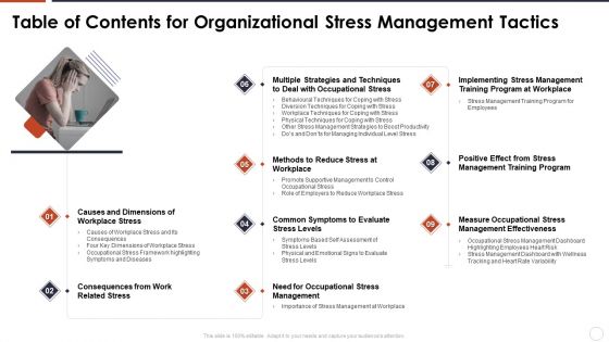 Table Of Contents For Organizational Stress Management Tactics Ideas PDF