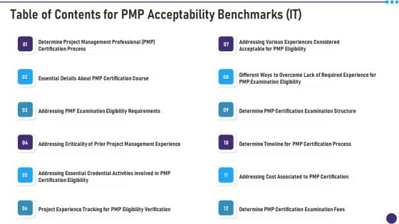 Table Of Contents For PMP Acceptability Benchmarks IT Infographics PDF