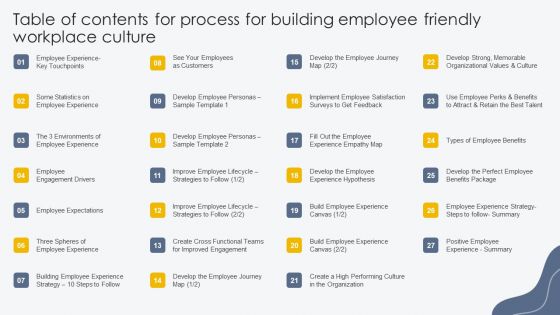 Table Of Contents For Process For Building Employee Friendly Workplace Culture Diagrams PDF