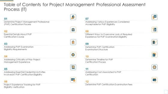 Table Of Contents For Project Management Professional Assessment Process IT Download PDF