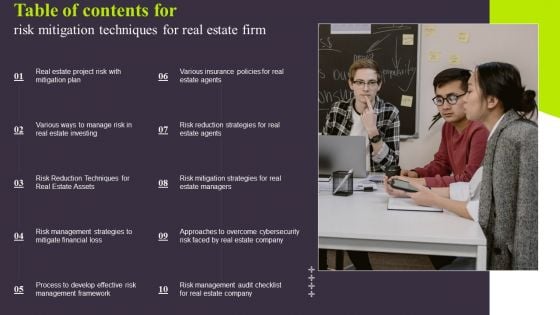 Table Of Contents For Risk Mitigation Techniques For Real Estate Firm Summary PDF