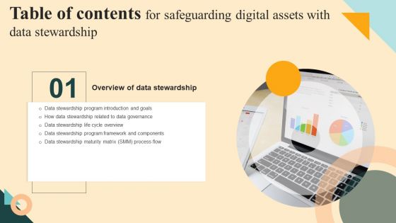 Table Of Contents For Safeguarding Digital Assets With Data Stewardship Designs PDF