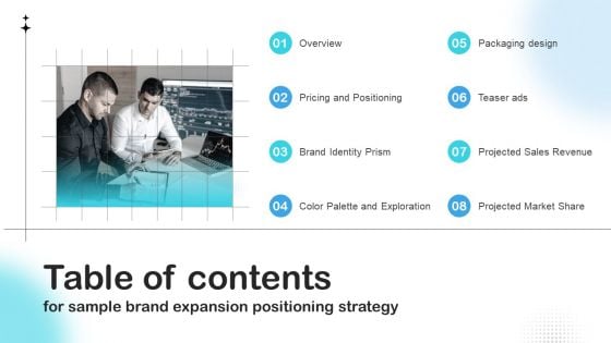 Table Of Contents For Sample Brand Expansion Positioning Strategy Introduction PDF