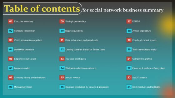 Table Of Contents For Social Network Business Summary Pictures PDF