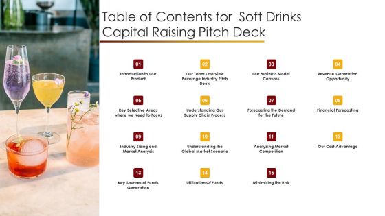 Table Of Contents For Soft Drinks Capital Raising Pitch Deck Ppt Portfolio Styles PDF