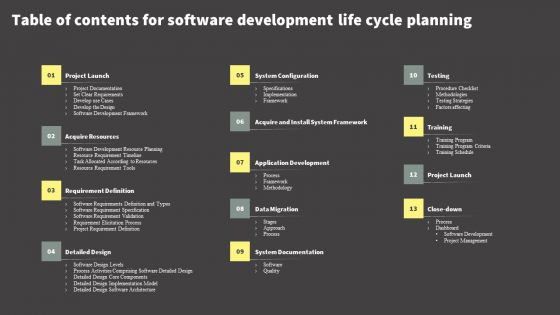 Table Of Contents For Software Development Life Cycle Planning Infographics PDF