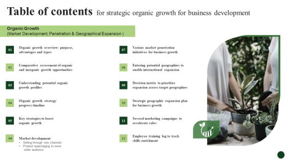 Table Of Contents For Strategic Organic Growth For Business Development Formats PDF