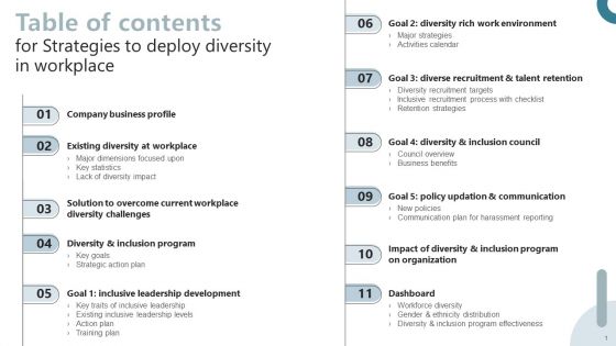 Table Of Contents For Strategies To Deploy Diversity In Workplace Inspiration PDF