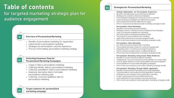 Table Of Contents For Targeted Marketing Strategic Plan For Audience Engagement Microsoft PDF