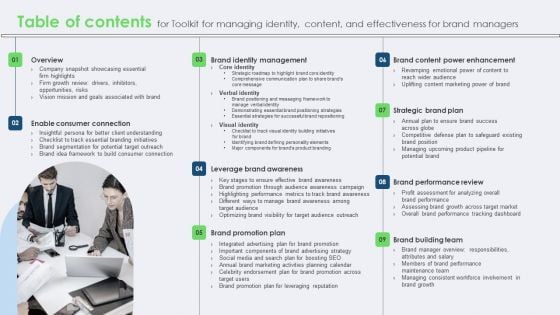 Table Of Contents For Toolkit For Managing Identity Content And Effectiveness For Brand Managers Inspiration PDF