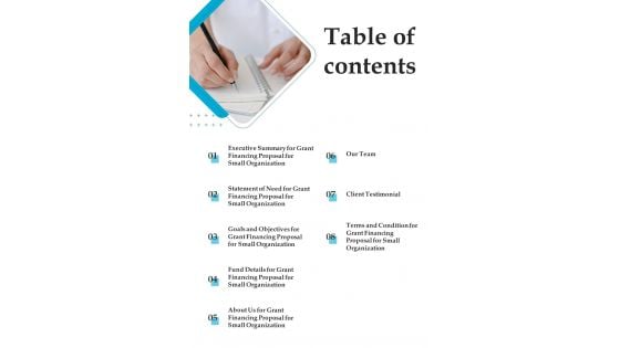 Table Of Contents Grant Financing Proposal For Small Organization One Pager Sample Example Document Table Of Contents Grant Financing Proposal For Small Organization One Pager Sample Example Document