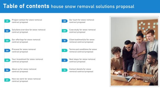 Table Of Contents House Snow Removal Solutions Proposal Ppt Ideas Icon PDF