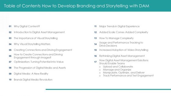 Table Of Contents How To Develop Branding And Storytelling With DAM Pictures PDF