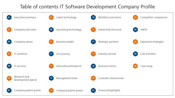 Table Of Contents IT Software Development Company Profile Professional PDF