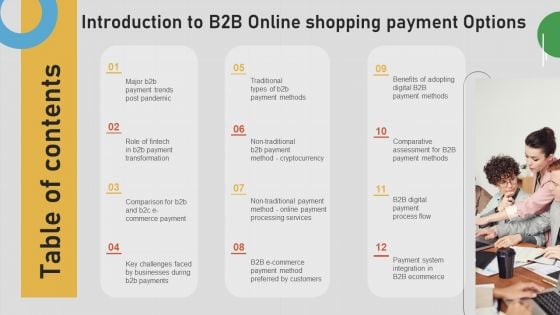 Table Of Contents Introduction To B2B Online Shopping Payment Options Designs PDF