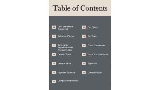 Table Of Contents Loan Settlement Agreement One Pager Sample Example Document Table Of Contents Loan Settlement Agreement One Pager Sample Example Document