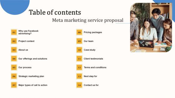 Table Of Contents Meta Marketing Service Proposal Pictures PDF