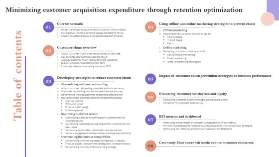 Table Of Contents Minimizing Customer Acquisition Expenditure Through Retention Optimization Designs PDF