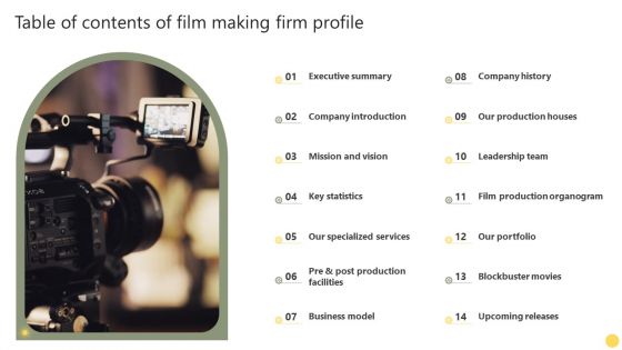 Table Of Contents Of Film Making Firm Profile Ppt PowerPoint Presentation File Templates PDF