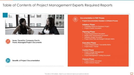 Table Of Contents Of Project Management Experts Required Reports Diagrams PDF