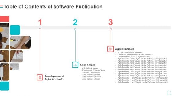 Table Of Contents Of Software Publication Ppt Gallery Layout PDF