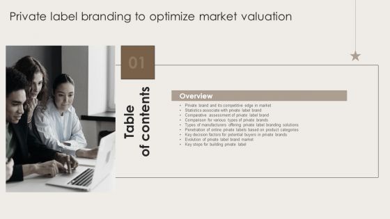 Table Of Contents Private Label Branding To Optimize Market Valuation Information PDF