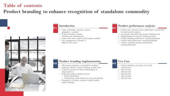 Table Of Contents Product Branding To Enhance Recognition Of Standalone Commodity Brochure PDF