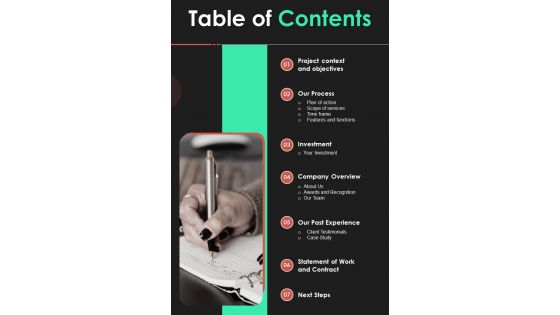 Table Of Contents Proposal For Cargo Inspection Software Package One Pager Sample Example Document