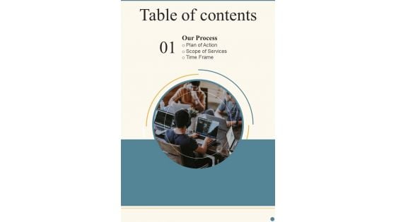 Table Of Contents Proposal For Corporate Meeting One Pager Sample Example Document Table Of Contents Proposal For Corporate Meeting One Pager Sample Example Document