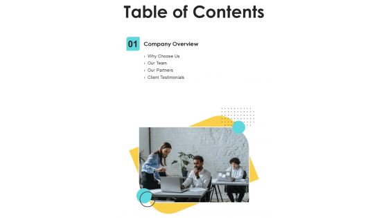 Table Of Contents Proposal For Immigration Expert One Pager Sample Example Document