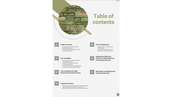 Table Of Contents Proposal For Mold Removal Contractual Services One Pager Sample Example Document Table Of Contents Proposal For Mold Removal Contractual Services One Pager Sample Example Document