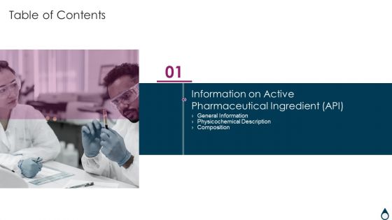 Table Of Contents Quality Manufacturing Process For Generic Medicines Information Structure PDF