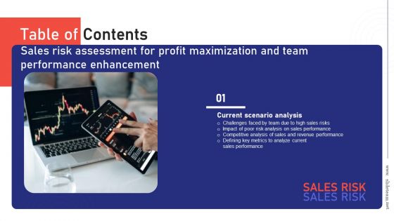 Table Of Contents Sales Risk Assessment For Profit Maximization And Team Performance Enhancement Summary PDF