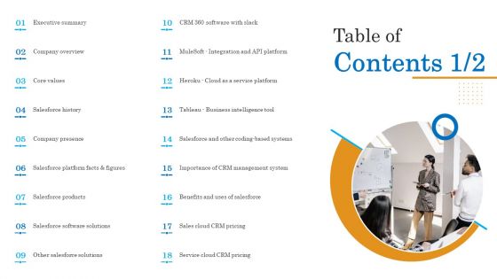 Table Of Contents Salesforce Business Profile Information PDF