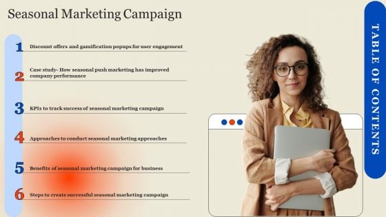 Table Of Contents Seasonal Marketing Campaign Summary PDF
