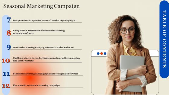 Table Of Contents Seasonal Marketing Campaign Summary PDF