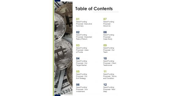 Table Of Contents Seed Capital Synonym Proposal One Pager Sample Example Document