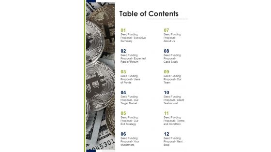 Table Of Contents Seed Capital Synonym Proposal One Pager Sample Example Document Table Of Contents Seed Capital Synonym Proposal One Pager Sample Example Document