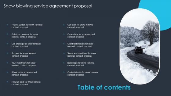 Table Of Contents Snow Blowing Service Agreement Proposal Portrait PDF