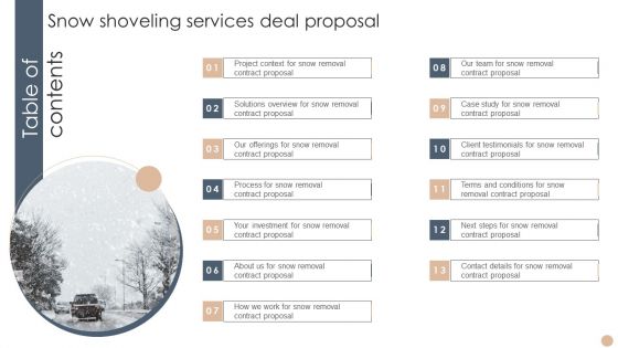 Table Of Contents Snow Shoveling Services Deal Proposal Microsoft PDF