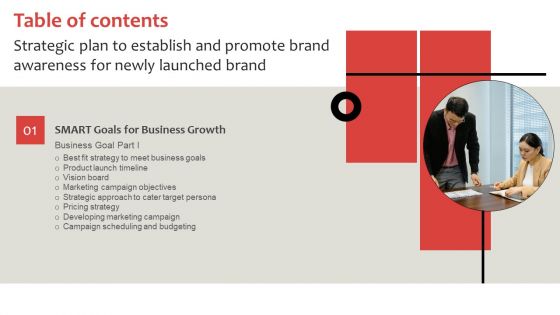 Table Of Contents Strategic Plan To Establish And Promote Brand Awareness For Newly Launched Brand Guidelines PDF
