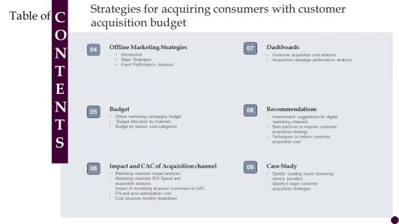 Table Of Contents Strategies For Acquiring Consumers With Customer Acquisition Budget Professional PDF