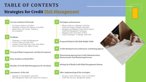 Table Of Contents Strategies For Credit Risk Management Sample PDF