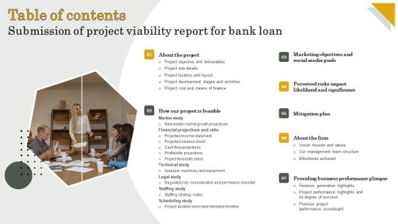 Table Of Contents Submission Of Project Viability Report For Bank Loan Mockup PDF