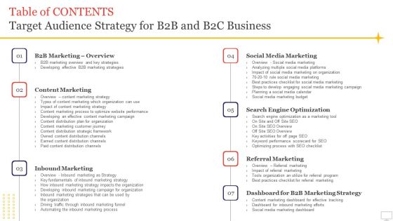 Table Of Contents Target Audience Strategy For B2B And B2C Business Brochure PDF