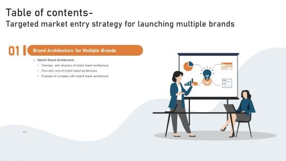 Table Of Contents Targeted Market Entry Strategy For Launching Multiple Brands Slide5 Ideas PDF